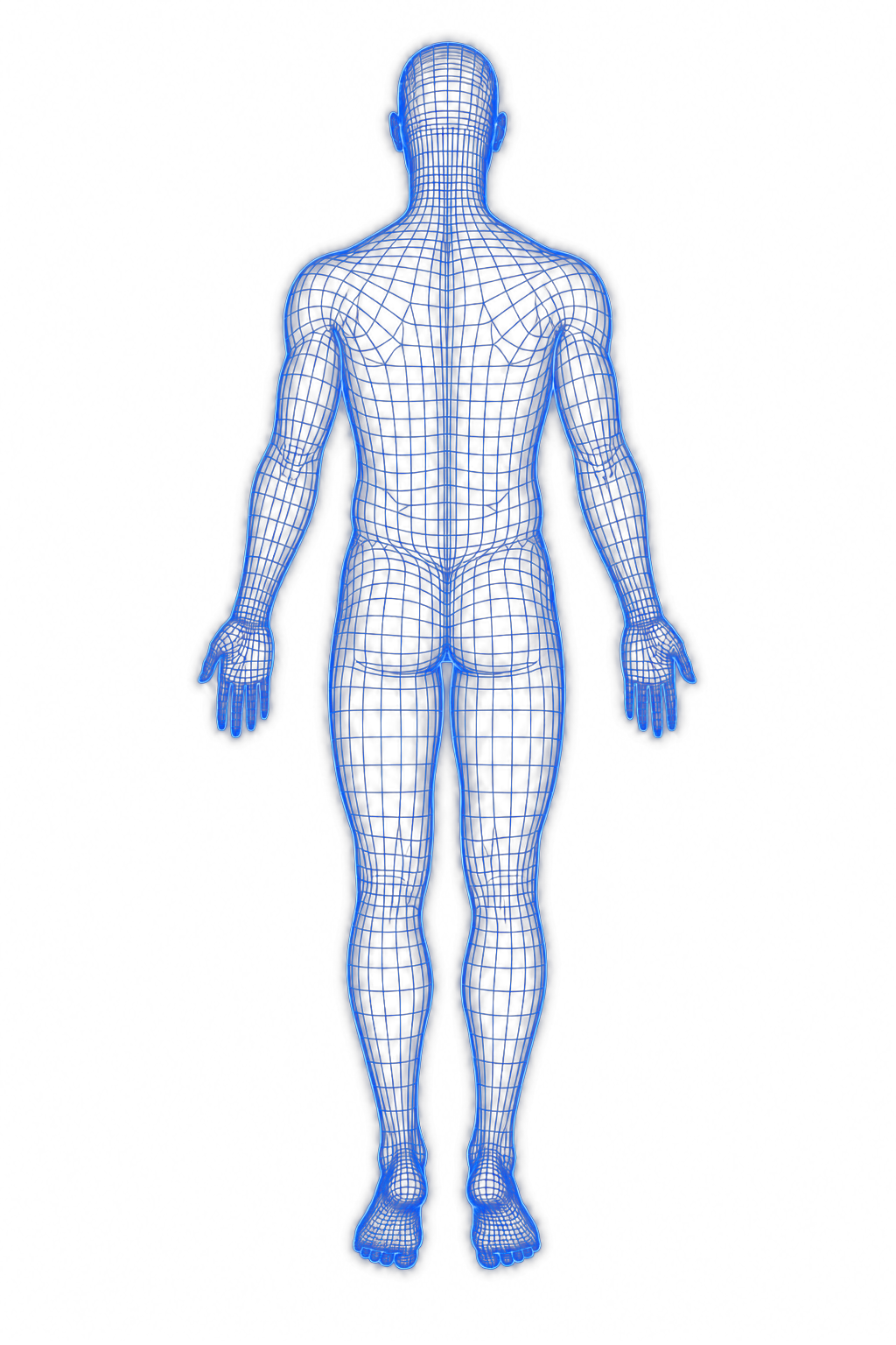 Back view of body