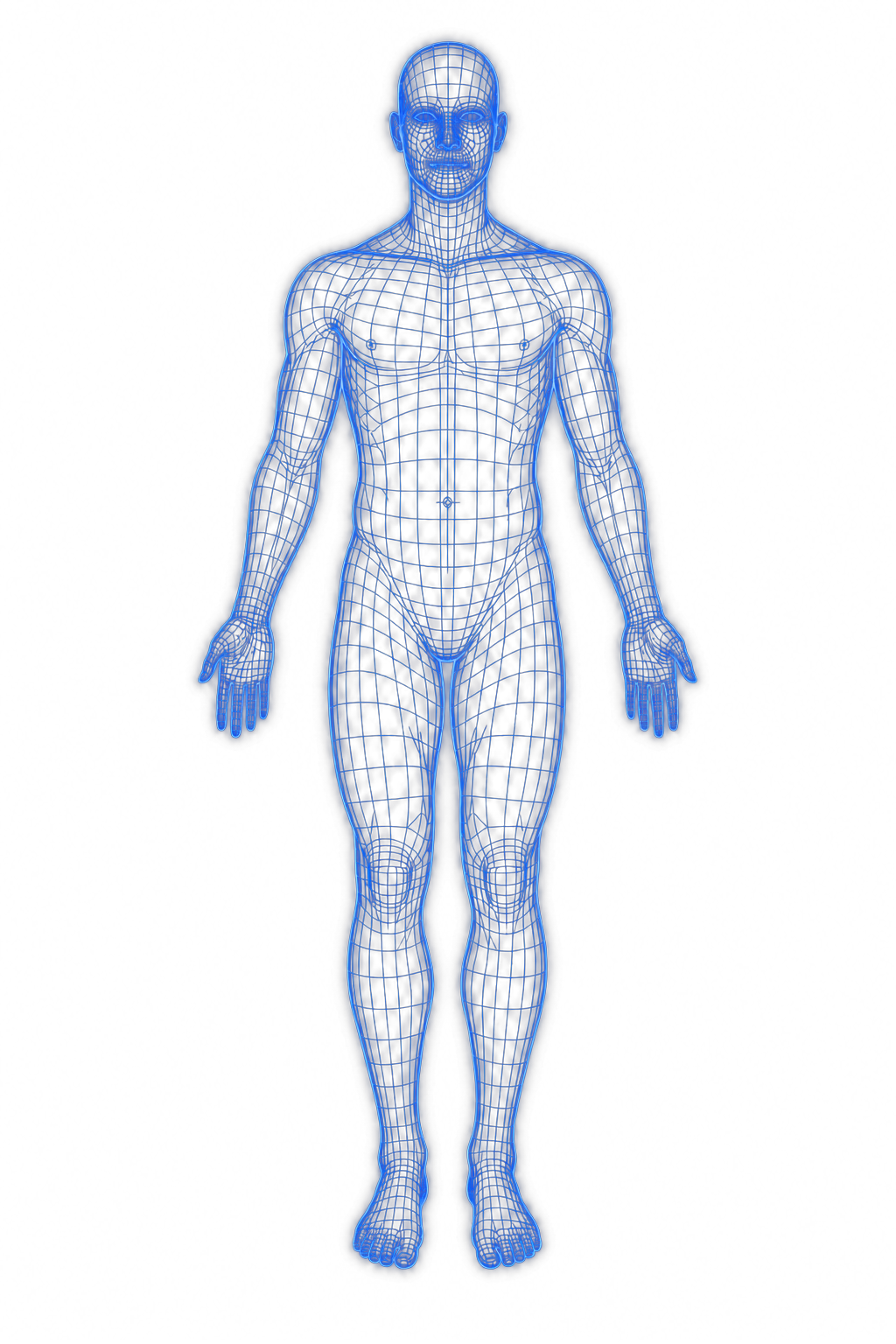 Front view of body